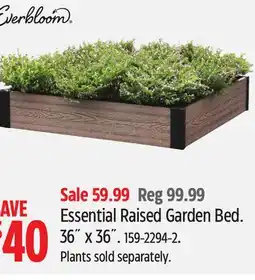 Canadian Tire Everbloom Essential Raised Garden Bed offer