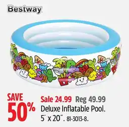 Canadian Tire Deluxe Inflatable Pool offer