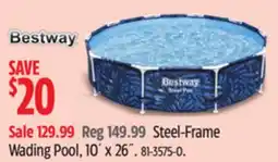 Canadian Tire Steel-Frame Wading Pool offer