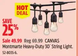 Canadian Tire CANVAS Montmartre Heavy-Duty 30' String Light offer