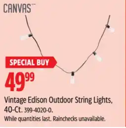 Canadian Tire Vintage Edison Outdoor String Lights offer