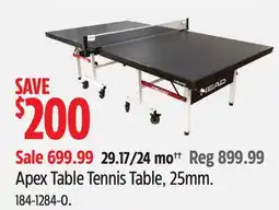 Canadian Tire Apex Table Tennis Table offer