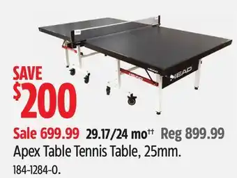 Canadian Tire Apex Table Tennis Table offer