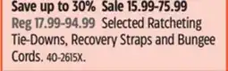 Canadian Tire Selected Ratcheting Tie-Downs, Recovery Straps and Bungee Cords offer