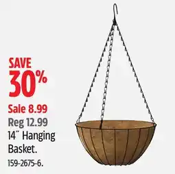 Canadian Tire 14 Hanging Basket offer