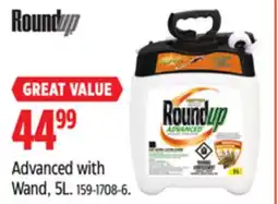 Canadian Tire Advanced with Wand offer