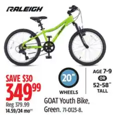 Canadian Tire GOAT Youth Bike offer