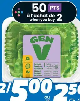 IGA GEN V GREENHOUSE LIVING BUTTER LETTUCE offer