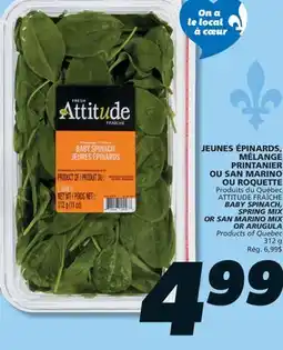 IGA ATTITUDE FRAÎCHE BABY SPINACH, SPRING MIX OR SAN MARINO MIX OR ARUGULA offer