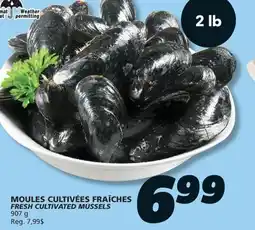 IGA FRESH CULTIVATED MUSSELS offer