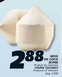 IGA YOUNG COCONUT offer