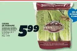 IGA ROMAINE HEARTS offer