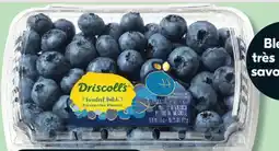 IGA DRISCOLL'S BLUEBERRIES offer