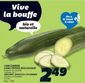 IGA ORGANIC SEEDLESS CUCUMBER offer