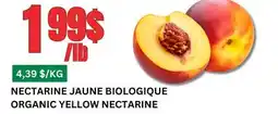 Marches Tau NECTARINE JAUNE BIOLOGIQUE offer