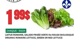 Marches Tau LAITUE ROMAINE, SALADE FRISÉE VERTE OU ROUGE BIOLOGIQUE offer