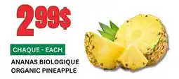 Marches Tau ANANAS BIOLOGIQUE offer
