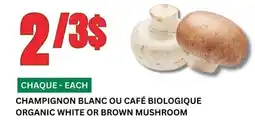 Marches Tau CHAMPIGNON BLANC OU CAFÉ BIOLOGIQUE offer