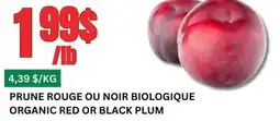 Marches Tau PRUNE ROUGE OU NOIR BIOLOGIQUE offer