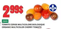 Marches Tau TOMATE CERISE MULTICOLORE BIOLOGIQUE offer