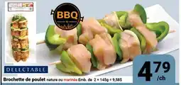 Pasquier Brochette de poulet DELECTABLE offer