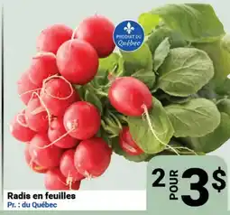 Pasquier Radis en feuilles offer
