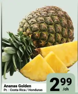 Pasquier Ananas Golden offer