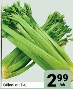 Pasquier Céleri offer