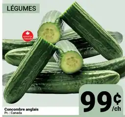 Pasquier Concombre anglais offer