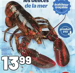 Metro HOMARD VIVANT | LIVE LOBSTER offer