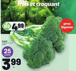 Metro BROCOLI | BROCCOLI offer