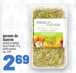 Metro GERMES DE LUZERNE | ALFALFA SPROUTS offer