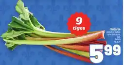 Metro RHUBARBE | RHUBARB offer