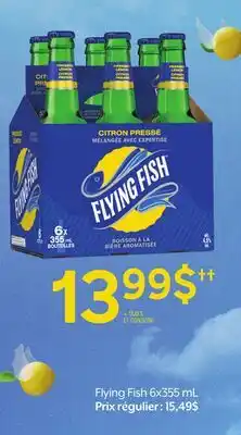 Metro FLYING FISH offer