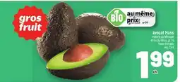Metro AVOCAT HASS | HASS AVOCADO offer