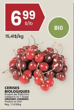 Rachelle-Bery Grocery ORGANIC CHERRIES offer