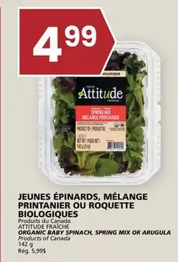 Rachelle-Bery Grocery ATTITUDE FRAÎCHE ORGANIC BABY SPINACH, SPRING MIX OR ARUGULA offer