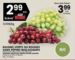 Rachelle-Bery Grocery ORGANIC SEEDLESS GREEN OR RED GRAPES offer