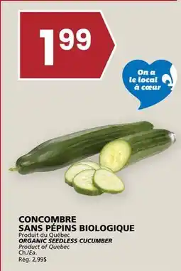 Rachelle-Bery Grocery ORGANIC SEEDLESS CUCUMBER offer