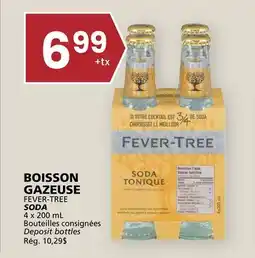 Rachelle-Bery Grocery FEVER-TREE SODA offer