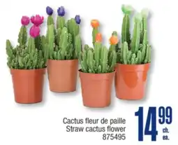 Jean Coutu Straw cactus flower offer