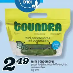 Marché Richelieu MINI CONCOMBRES | MINI CUCUMBERS offer