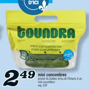 Marché Richelieu MINI CONCOMBRES | MINI CUCUMBERS offer