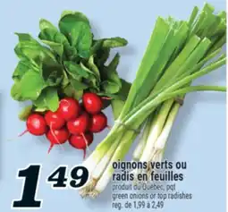 Marché Richelieu OIGNONS VERTS OU RADIS EN FEUILLES | GREEN ONIONS OR TOP RADISHES offer