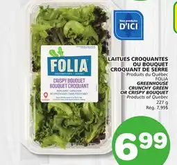 Marches Tradition FOLIA GREENHOUSE CRUNCHY GREEN OR CRISPY BOUQUET offer