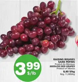 Marches Tradition SEEDLESS RED GRAPES offer