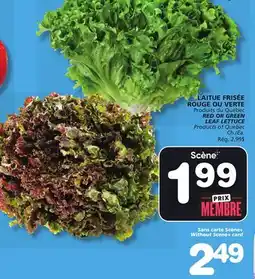 Marches Tradition RED OR GREEN LEAF LETTUCE offer