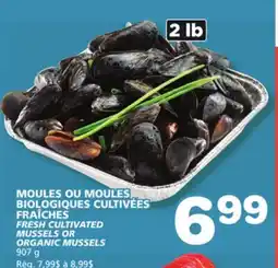 Marches Tradition FRESH CULTIVATED MUSSELS OR ORGANIC MUSSELS offer