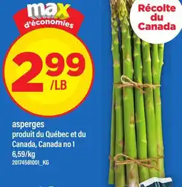 Maxi ASPERGES offer