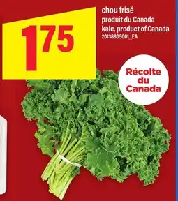 Maxi CHOU FRISÉ | KALE offer